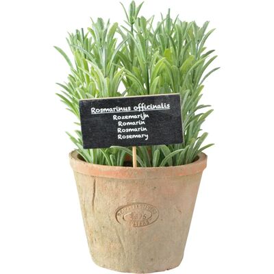Plante artificielle Esschert Design AH012 - Romarin en pot - Publicité Plante artificielle Esschert Design AH012 - Romarin en pot - Publicité