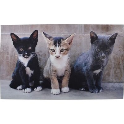 Esschert Design RB142 tapis de porte - Caoutchouc recyclé avec chaton - Publicité Esschert Design RB142 tapis de porte - Caoutchouc recyclé avec chaton - Publicité