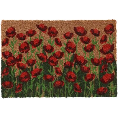 Esschert Design RB271 Türmatte - Kokosfaser, 60x40cm Esschert Design RB271 Türmatte - Kokosfaser, 60x40cm