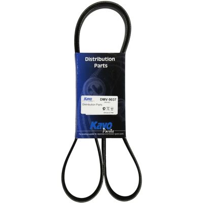 Kavo Parts DMV9037 V-bälte med nervband - V-bälte med nervband Kavo Parts DMV9037 V-bälte med nervband - V-bälte med nervband