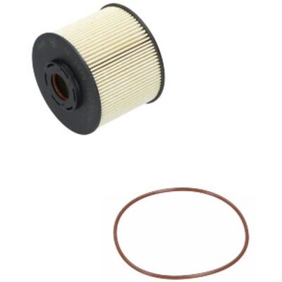 Citroen TF1978 Fuel Filter - Filter insert Citroen TF1978 Fuel Filter - Filter insert