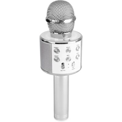 MAX Music KM01S Microphone de Karaoké Argent - Microphone Karaoke - Publicité MAX Music KM01S Microphone de Karaoké Argent - Microphone Karaoke - Publicité