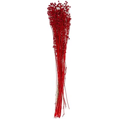 buttinette - Flachs - rot - 53 cm - Trockenblumen buttinette - Flachs - rot - 53 cm - Trockenblumen