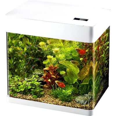 Superfish Start 50 White Aquarium Kit - Aquarium Type Superfish Start 50 White Aquarium Kit - Aquarium Type