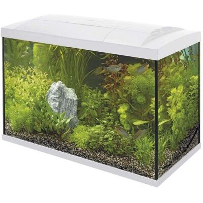 Superfish Start 70 Tropisch Aquarium Set - Type Aquarium Superfish Start 70 Tropisch Aquarium Set - Type Aquarium