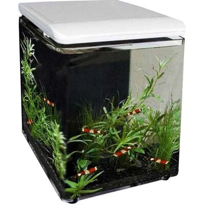 Aquarium en acrylique blanc Superfish Home 8 - Aquarium - Publicité Aquarium en acrylique blanc Superfish Home 8 - Aquarium - Publicité