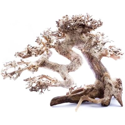 Superfish Bonsai Bois flotté S - Décor pour Aquarium - Publicité Superfish Bonsai Bois flotté S - Décor pour Aquarium - Publicité