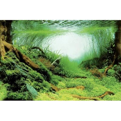 Superfish Deco Poster - 150x61cm - Aquarium Background Superfish Deco Poster - 150x61cm - Aquarium Background