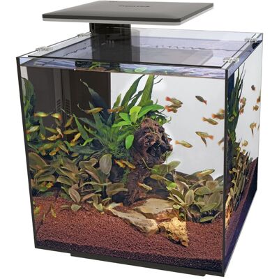 Superfish QubiQ 60 Pro Aquarium - Kleine Vissen, Modern Ontwerp Superfish QubiQ 60 Pro Aquarium - Kleine Vissen, Modern Ontwerp