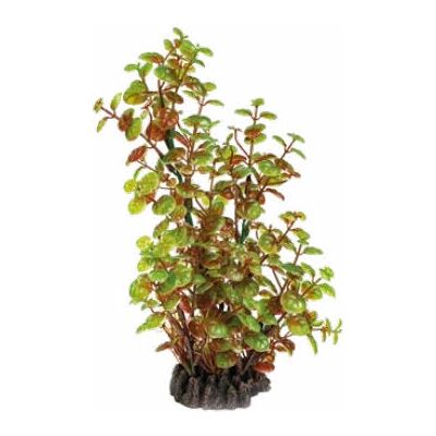 SuperFish A4070850 Groen Rood Aquarium Versiering - Aquarium Decoratie SuperFish A4070850 Groen Rood Aquarium Versiering - Aquarium Decoratie