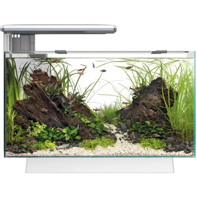 Superfish Quadro 40 Wit Aquarium - Aquarium Superfish Quadro 40 Wit Aquarium - Aquarium