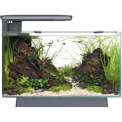 Superfish Quadro 40 Pro Aquarium - Biologisch filter & LED-verlichting Superfish Quadro 40 Pro Aquarium - Biologisch filter & LED-verlichting