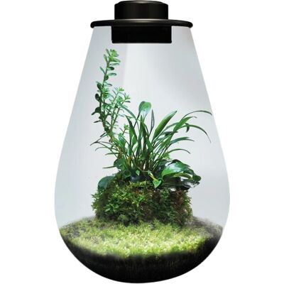 BioArt Drop 285 Slimme Plantenschaal - Plant BioArt Drop 285 Slimme Plantenschaal - Plant