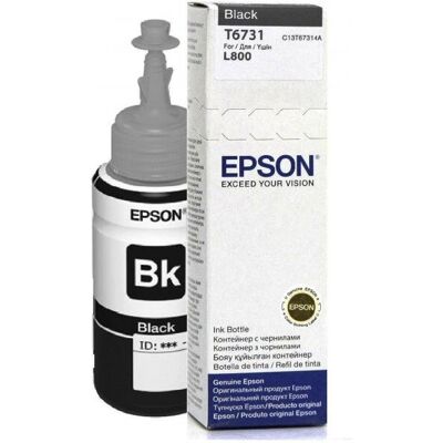 Epson T6731 Epson T6731