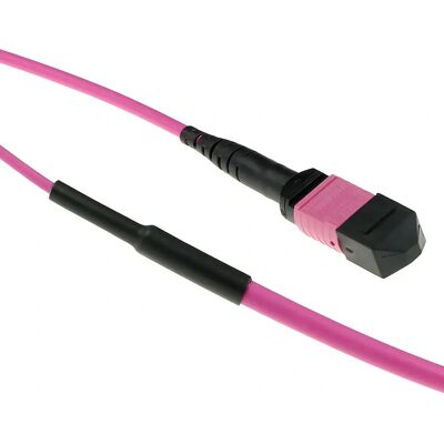 Câble de fibre optique multimode 40 m OM4/OM3 - Violet - Usage Data Center Câble de fibre optique multimode 40 m OM4/OM3 - Violet - Usage Data Center