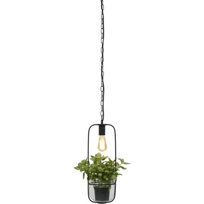 BM Housing Florence Schwarze Pendelleuchte mit Pflanzhalterung - Pendelleuchte BM Housing Florence Schwarze Pendelleuchte mit Pflanzhalterung - Pendelleuchte
