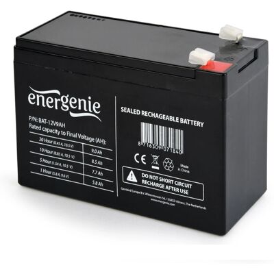 Gembird BAT-12V9AH Batteria 12V 9Ah VRLA Gembird BAT-12V9AH Batteria 12V 9Ah VRLA