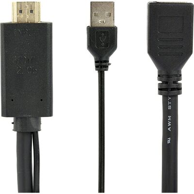 Gembird A-HDMIM-DPF-01 Videokábeladapter - 0,1 m HDMI DisplayPort USB Fekete Gembird A-HDMIM-DPF-01 Videokábeladapter - 0,1 m HDMI DisplayPort USB Fekete