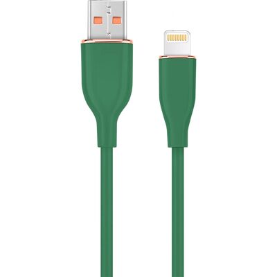Gembird CC-USB2S-AM8PM-1 - Câble Lightning - Vert - 1,5 m Gembird CC-USB2S-AM8PM-1 - Câble Lightning - Vert - 1,5 m