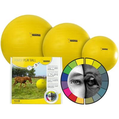 Maximus Power Play Ball 65cm - Équipement pour chevaux et poneys - Publicité Maximus Power Play Ball 65cm - Équipement pour chevaux et poneys - Publicité