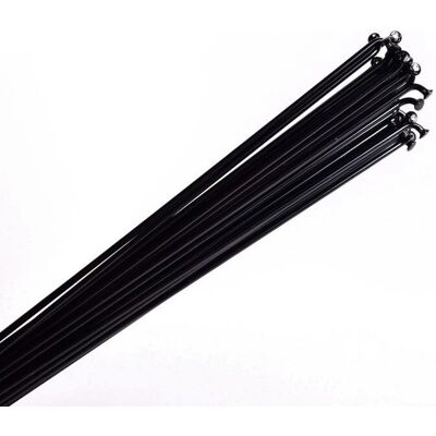 Alpina Spaken 14G 288mm RVS Zwart - Velg Spaken Alpina Spaken 14G 288mm RVS Zwart - Velg Spaken