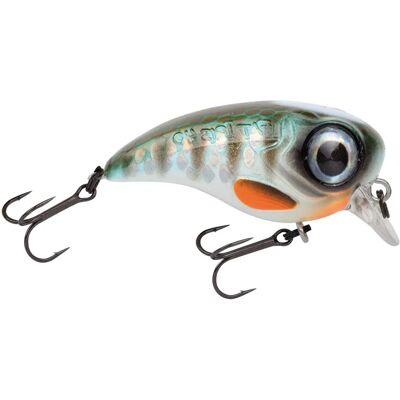 Leurre Flottant Spro Fat Iris - 40 mm, 5,4 g, Multicolore - Appât de Pêche - Publicité Leurre Flottant Spro Fat Iris - 40 mm, 5,4 g, Multicolore - Appât de Pêche - Publicité