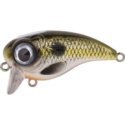 Spro Fat Iris Crankbait - 50mm 10g - Druh ryby Spro Fat Iris Crankbait - 50mm 10g - Druh ryby