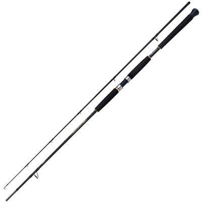 Shimano Beastmaster AX Pilk - Høy Kvalitet Jigging Stang Shimano Beastmaster AX Pilk - Høy Kvalitet Jigging Stang