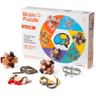 Recent Toys Brain Puzzle - Set Of 6 - Puzzle Set for Cognitive Training Recent Toys Brain Puzzle - Set Of 6 - Puzzle Set for Cognitive Training