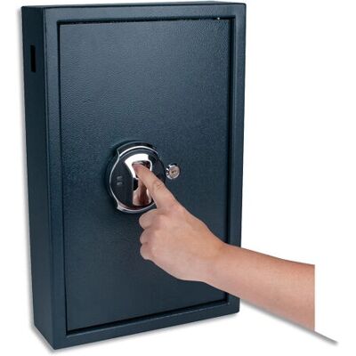 Pavo 8006847 Schlüsselbox - Hochsicherheit, 50 Schlüssel, Grau Pavo 8006847 Schlüsselbox - Hochsicherheit, 50 Schlüssel, Grau