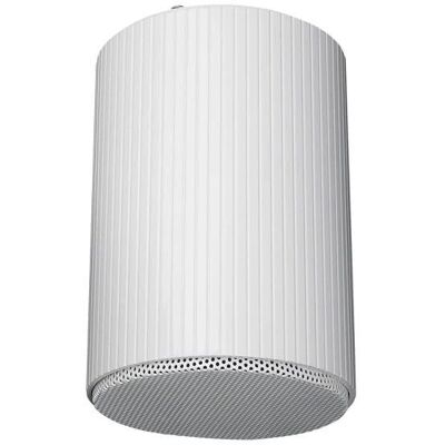 Haut-parleur suspendu DAP Audio HS-510M - 5” 10W IP55 - Publicité Haut-parleur suspendu DAP Audio HS-510M - 5” 10W IP55 - Publicité