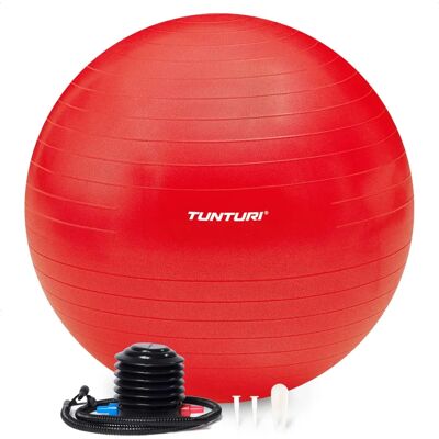 Tunturi Fitness Ball - 65cm Inflatable Gymball for Balance & Strength Tunturi Fitness Ball - 65cm Inflatable Gymball for Balance & Strength