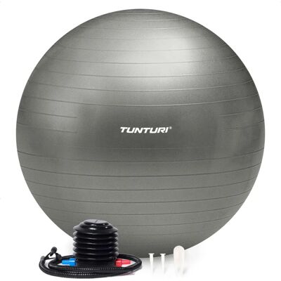 Tunturi Fitnessbal 55cm - Balans, Kracht & Flexibiliteit Tunturi Fitnessbal 55cm - Balans, Kracht & Flexibiliteit