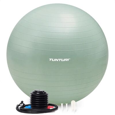 Tunturi Anti Burst Fitness Ball 65cm - Support up to 220kg Tunturi Anti Burst Fitness Ball 65cm - Support up to 220kg