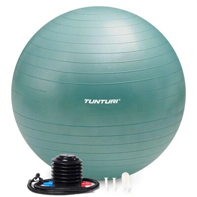 Fitness míč Tunturi - 90 cm, Anti-Burst, s Pumpou, 220kg Nosnost Fitness míč Tunturi - 90 cm, Anti-Burst, s Pumpou, 220kg Nosnost