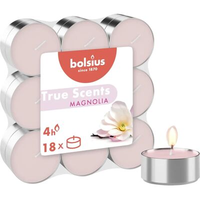 Bolsius Magnolia Tuoksukynttilät - 18 kpl Bolsius Magnolia Tuoksukynttilät - 18 kpl