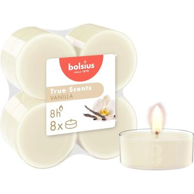 Bolsius True Scents Vainilla Maxi Velas - Velas Tealight Bolsius True Scents Vainilla Maxi Velas - Velas Tealight