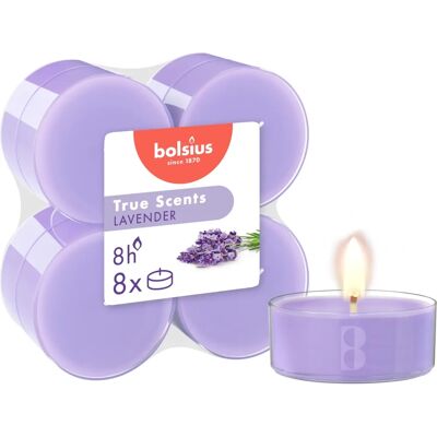 BOLSIUS - Maxi Tealights True Scents Viool - 8 uur - 8 stuks BOLSIUS - Maxi Tealights True Scents Viool - 8 uur - 8 stuks