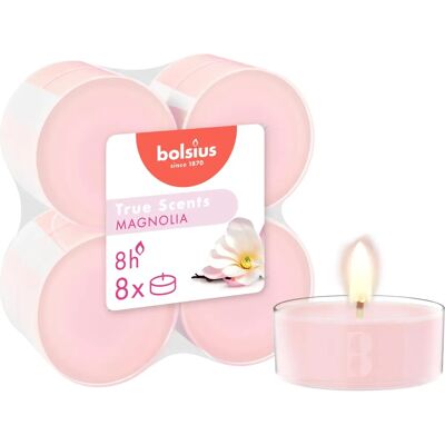 Bolsius Magnolias Velas Tealight Maxi - 8 piezas - Aromáticas y Coloridas Bolsius Magnolias Velas Tealight Maxi - 8 piezas - Aromáticas y Coloridas