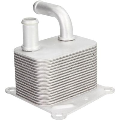 Raffreddatore olio NRF 31219 con refrigerazione ad acqua per Ford Focus Mk1, Transit Connect Mk1, Tourneo Connect Mk1 Raffreddatore olio NRF 31219 con refrigerazione ad acqua per Ford Focus Mk1, Transit Connect Mk1, Tourneo Connect Mk1