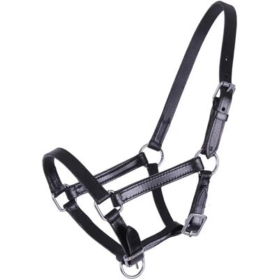 QHP Chico Lederhalfter Fohlen - Verstellbares Fohlenhalfter, Schwarz, Hochwertiges Leder QHP Chico Lederhalfter Fohlen - Verstellbares Fohlenhalfter, Schwarz, Hochwertiges Leder