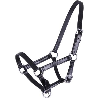QHP Chico Lederhalfter Fohlen - Pony Fohlen QHP Chico Lederhalfter Fohlen - Pony Fohlen