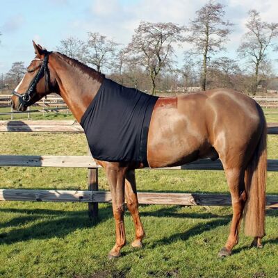 Protection élastique pour le thorax et les épaules QHP - Protège la peau du cheval - Publicité Protection élastique pour le thorax et les épaules QHP - Protège la peau du cheval - Publicité