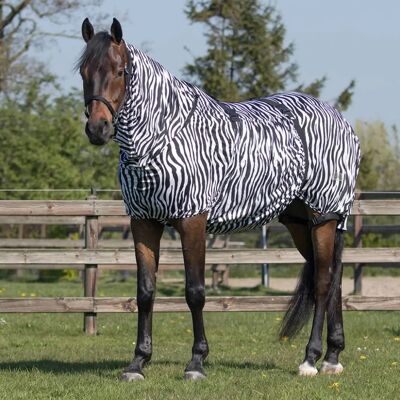 QHP Couverture Zebra - Manteau contre l'eczéma cheval - Publicité QHP Couverture Zebra - Manteau contre l'eczéma cheval - Publicité