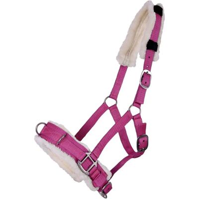 QHP Alaska Rose Fuchsia - Collier de Lunge - Publicité QHP Alaska Rose Fuchsia - Collier de Lunge - Publicité