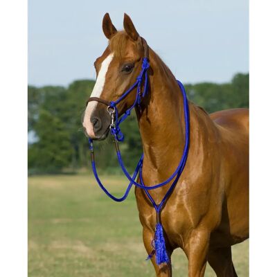 Ensemble de licol en cordeau Cobalt Bleu Shetland - Cheval - Publicité Ensemble de licol en cordeau Cobalt Bleu Shetland - Cheval - Publicité