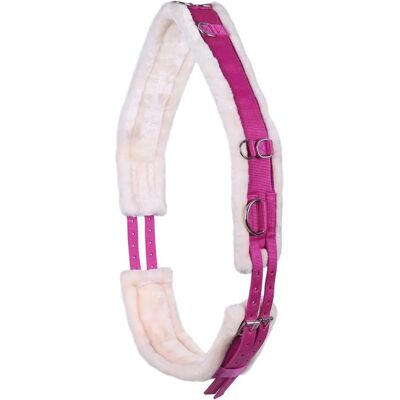 Ceinture de lunging QHP Ontario - Équipement pour chevaux - Publicité Ceinture de lunging QHP Ontario - Équipement pour chevaux - Publicité
