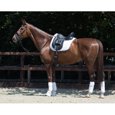 QHP Florence Schabracke - Dressur - Weiß - Full QHP Florence Schabracke - Dressur - Weiß - Full