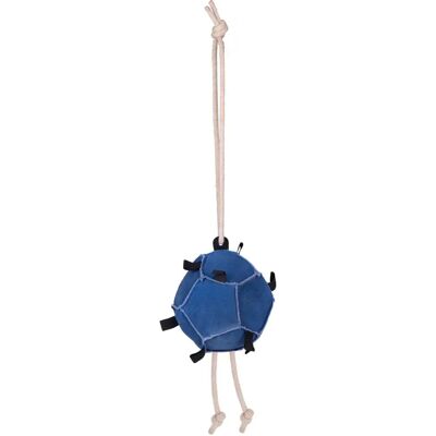 QHP Pferdespielball - Blau - Stall oder Paddock - Langlebig & Umweltfreundlich QHP Pferdespielball - Blau - Stall oder Paddock - Langlebig & Umweltfreundlich