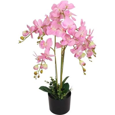 vidaXL Orchidée Artificielle Rose - Décoration 75cm - Publicité vidaXL Orchidée Artificielle Rose - Décoration 75cm - Publicité